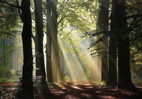 How do I&nbsp;think?